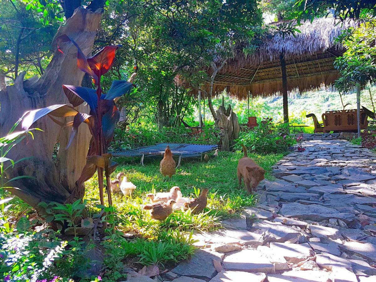 Muong Tra Garden Homestay Làng Cac Exteriér fotografie